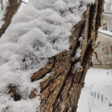 Traditional Santa's Cosy Lejlighed